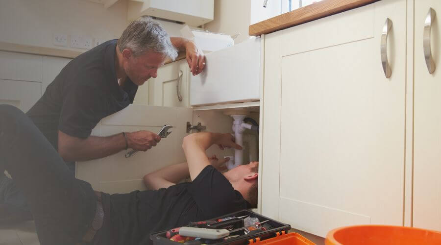 Professional Water Damage Mitigation services in Williamsville, IL